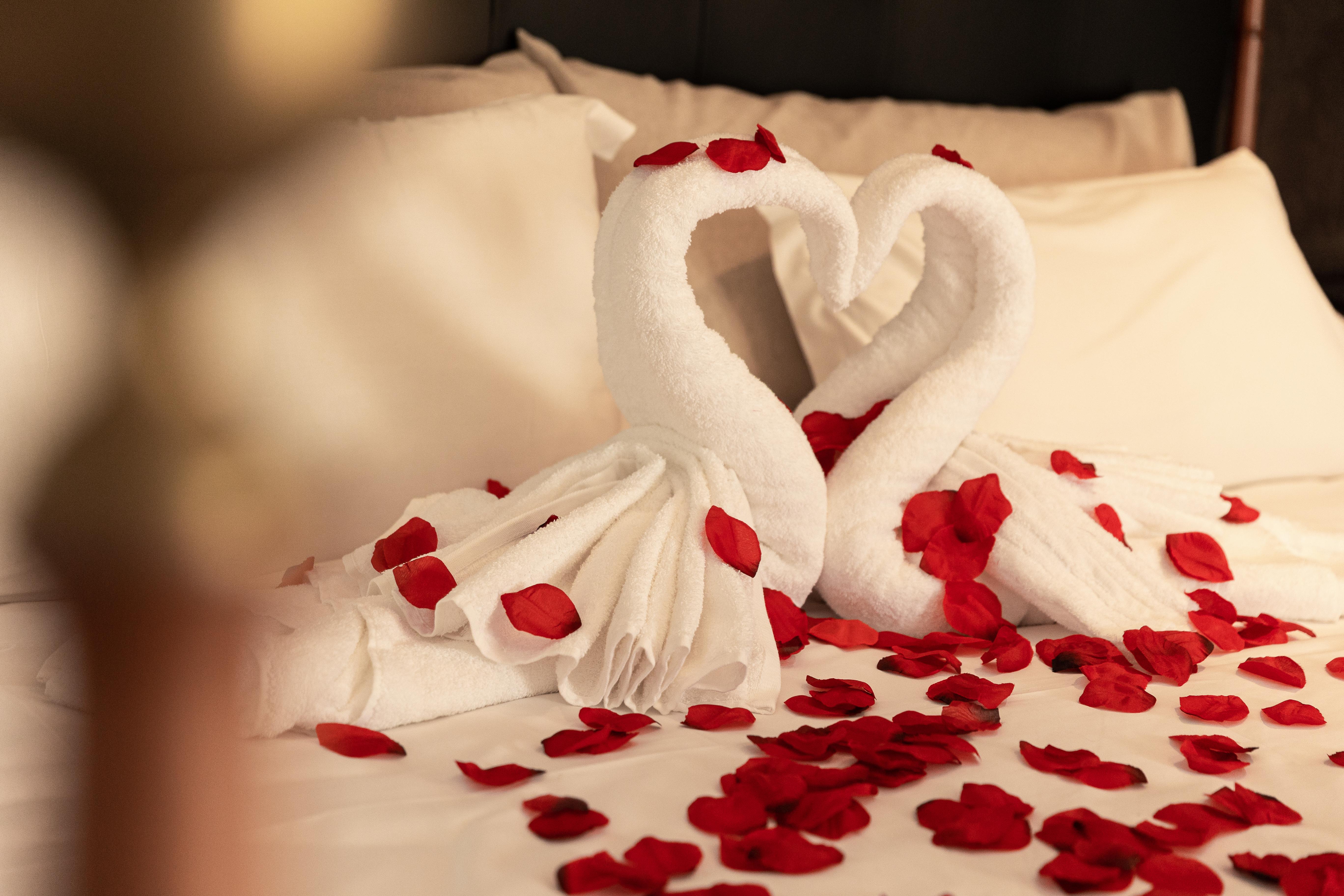 Nastasi Hotel & Spa Lleida Dış mekan fotoğraf